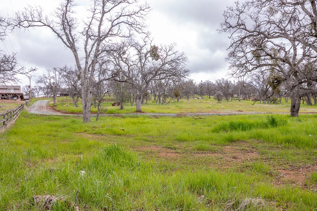 Arbolada Drive, La Grange, California image 8