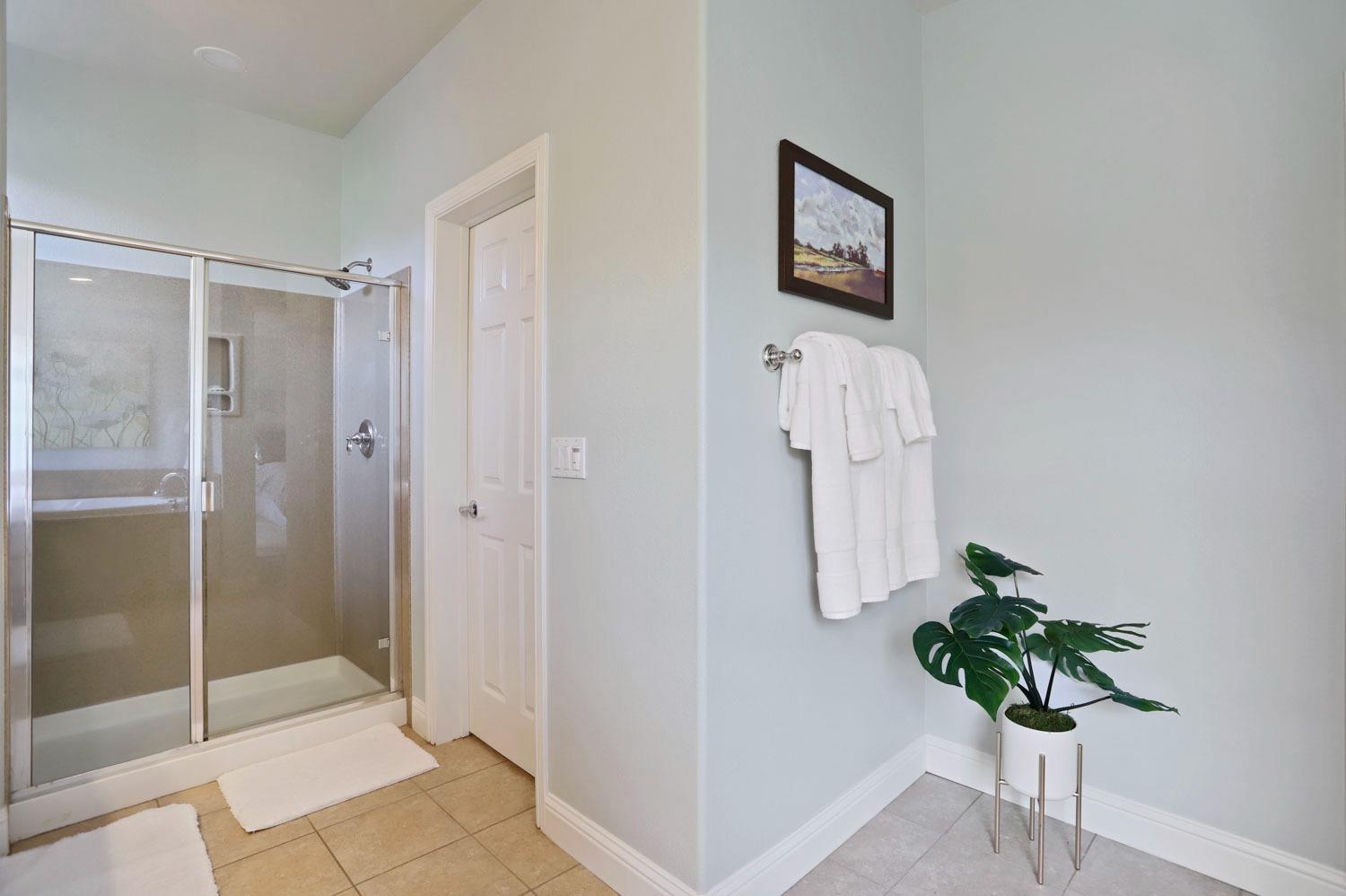 Detail Gallery Image 41 of 58 For 223 S Vista Hermosa St, Mountain House,  CA 95391 - 4 Beds | 2/1 Baths
