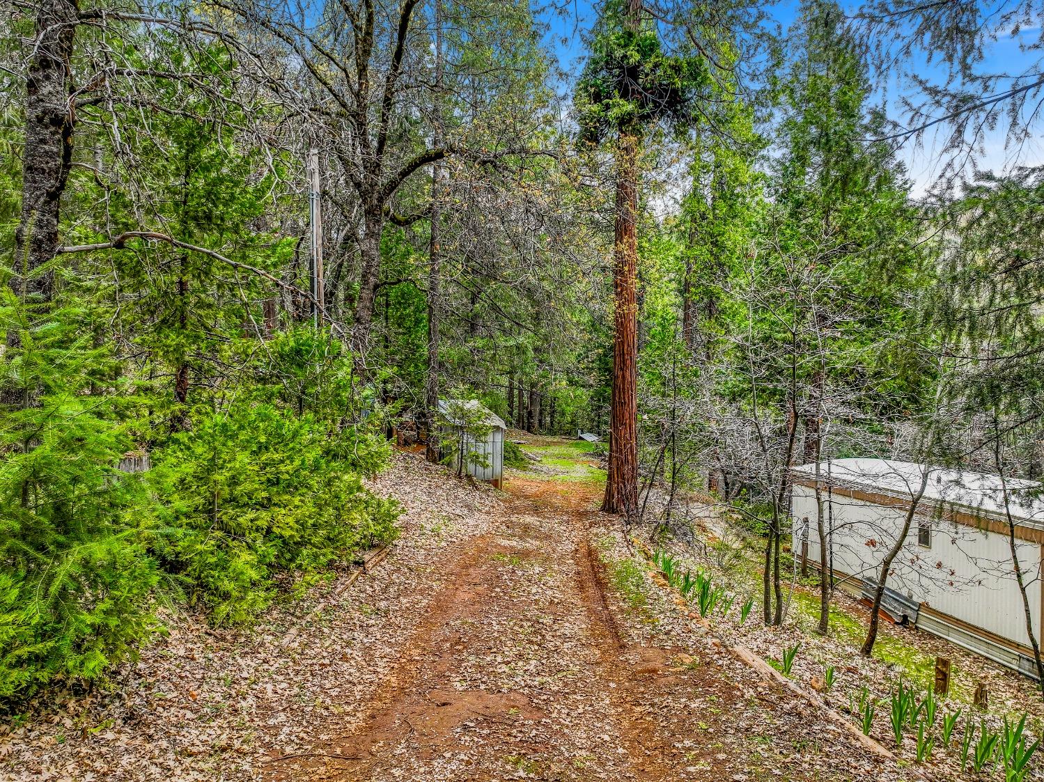 Detail Gallery Image 23 of 45 For 12577 Blazing Star Rd, Nevada City,  CA 95959 - 2 Beds | 1 Baths