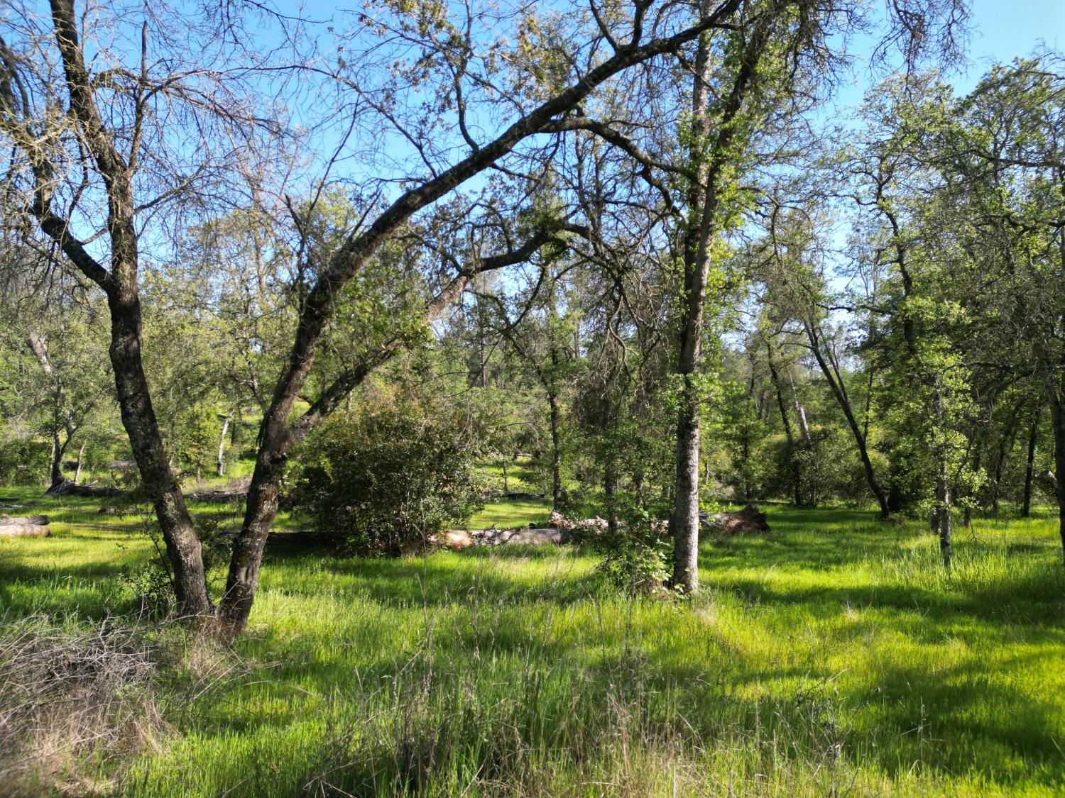 Detail Gallery Image 9 of 28 For 39 Sandstone Ln, Browns Valley,  CA 95918 - – Beds | – Baths