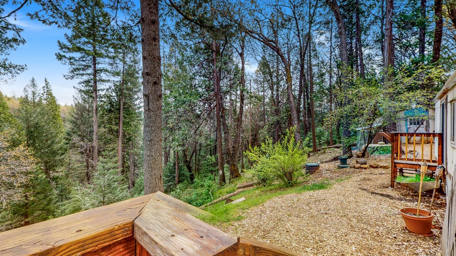 Detail Gallery Image 16 of 45 For 12577 Blazing Star Rd, Nevada City,  CA 95959 - 2 Beds | 1 Baths