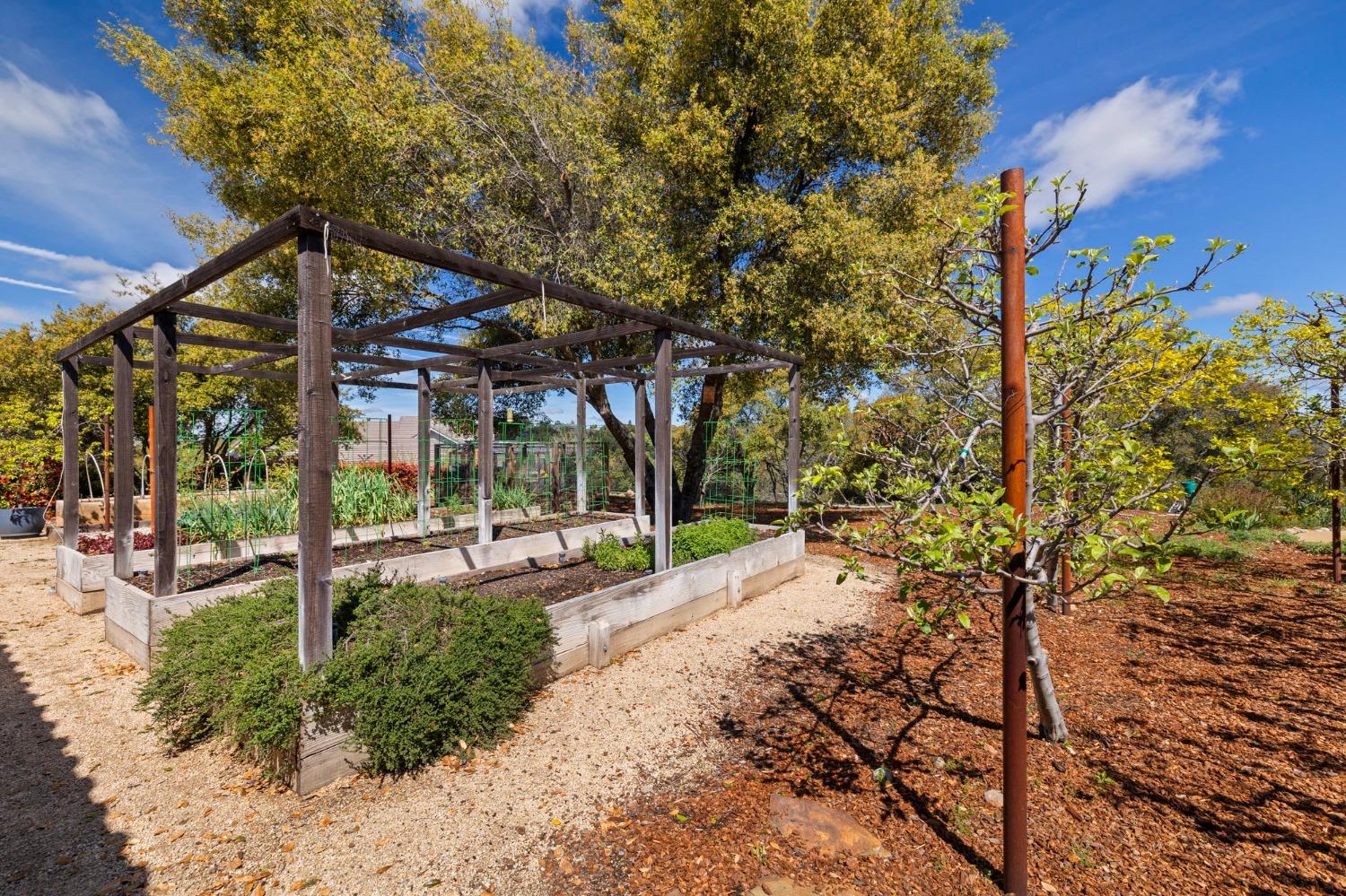 Detail Gallery Image 42 of 64 For 10270 Slate Rim Road Lot #42, Sonora,  CA 95370 - 3 Beds | 3 Baths