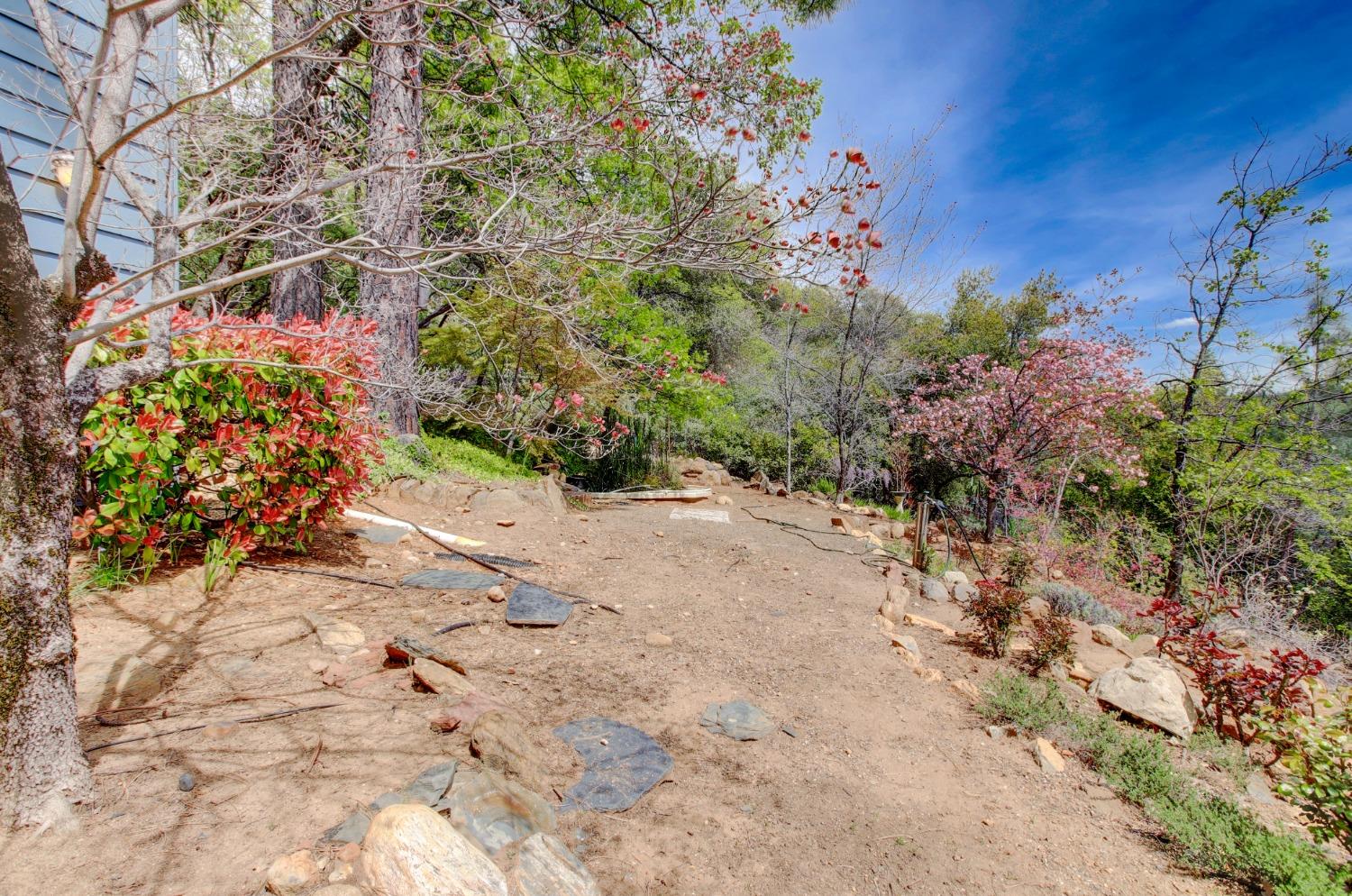Detail Gallery Image 79 of 98 For 14158 Gochine Dr, Nevada City,  CA 95959 - 3 Beds | 2/1 Baths