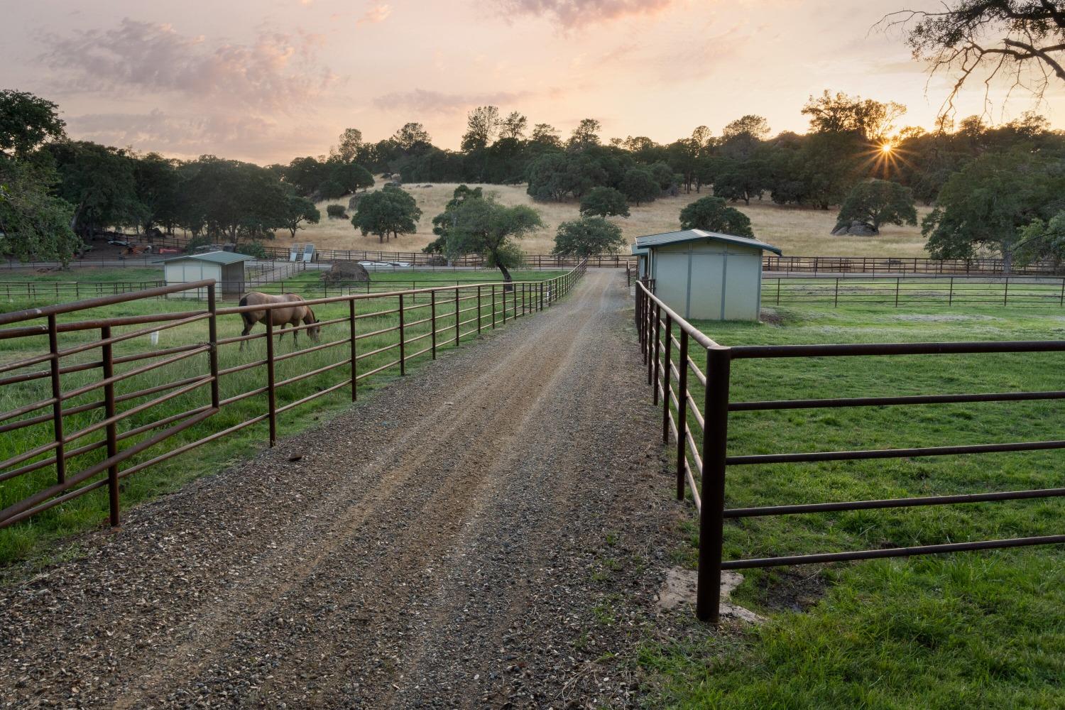 Martin Lane, Ione, California image 9