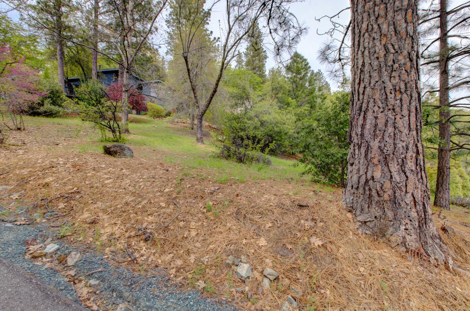 Detail Gallery Image 40 of 98 For 14158 Gochine Dr, Nevada City,  CA 95959 - 3 Beds | 2/1 Baths