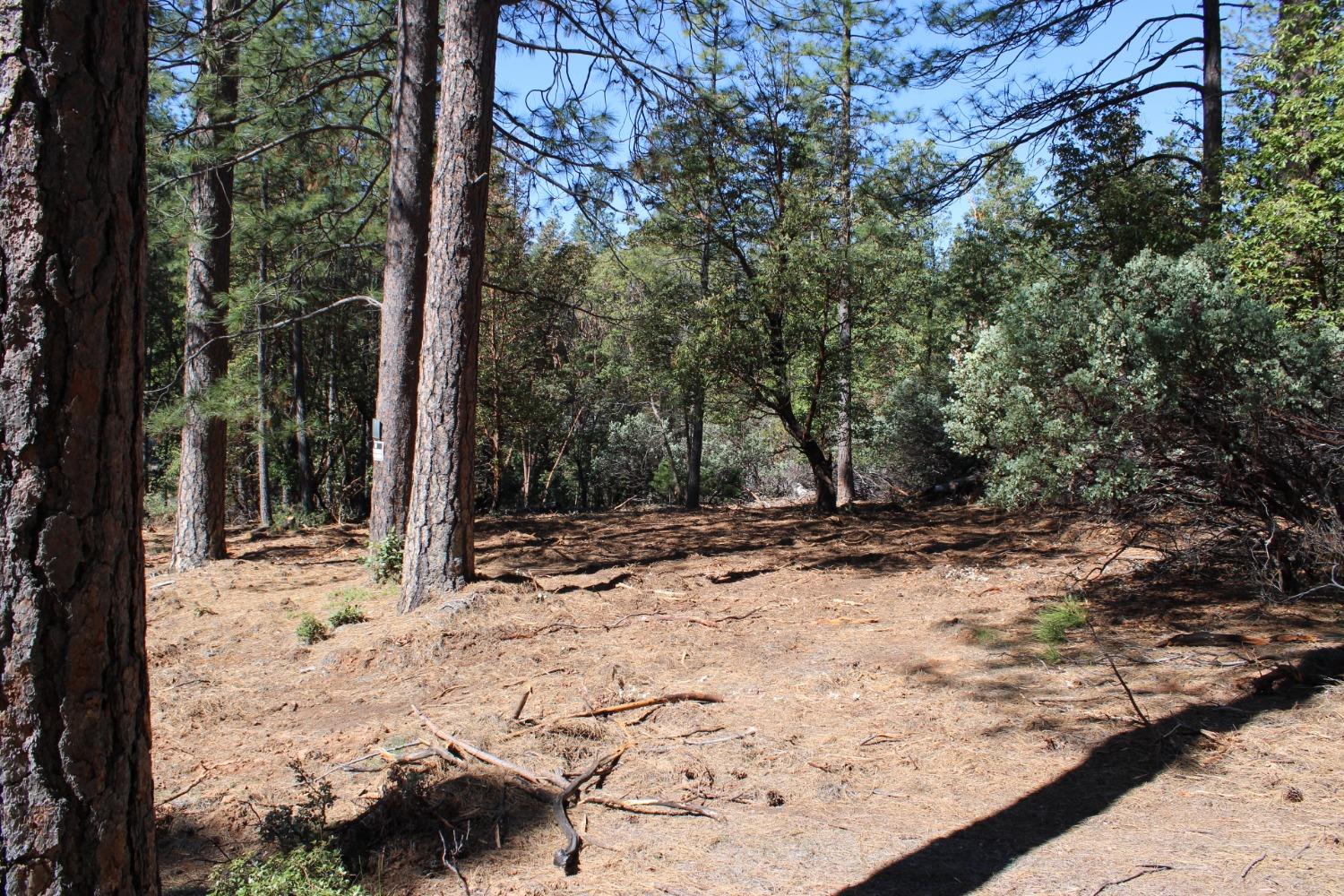 Photo of 3651 Dogwood Ln in Placerville, CA