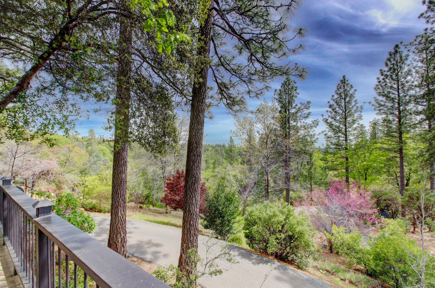 Detail Gallery Image 89 of 98 For 14158 Gochine Dr, Nevada City,  CA 95959 - 3 Beds | 2/1 Baths