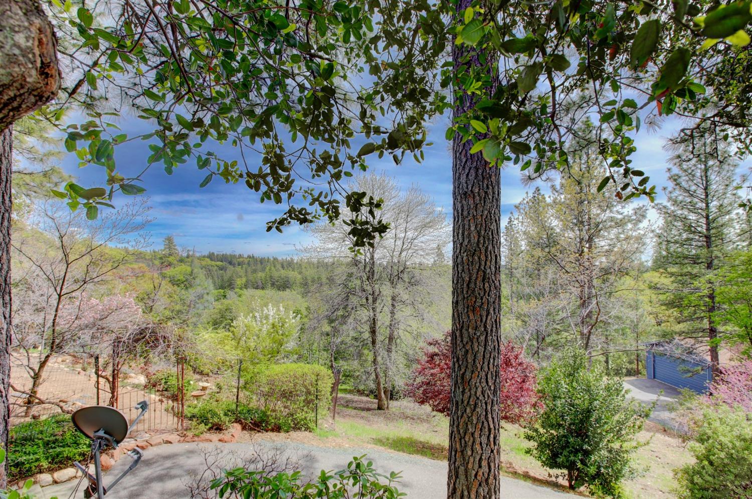Detail Gallery Image 90 of 98 For 14158 Gochine Dr, Nevada City,  CA 95959 - 3 Beds | 2/1 Baths