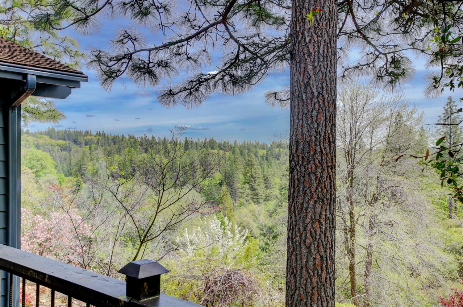 Detail Gallery Image 92 of 98 For 14158 Gochine Dr, Nevada City,  CA 95959 - 3 Beds | 2/1 Baths