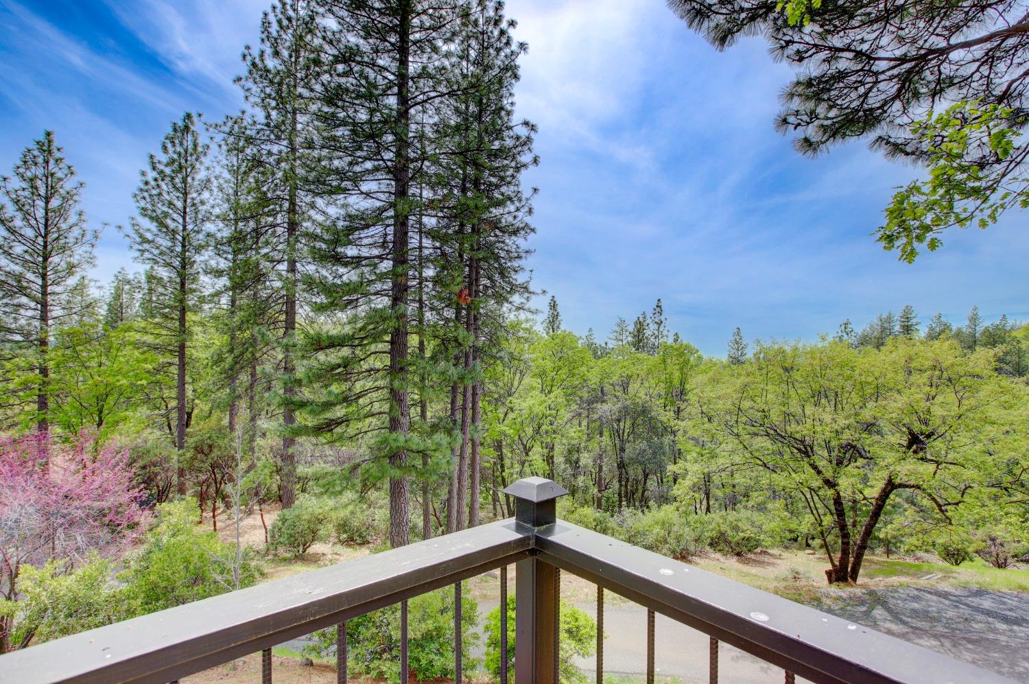 Detail Gallery Image 87 of 98 For 14158 Gochine Dr, Nevada City,  CA 95959 - 3 Beds | 2/1 Baths