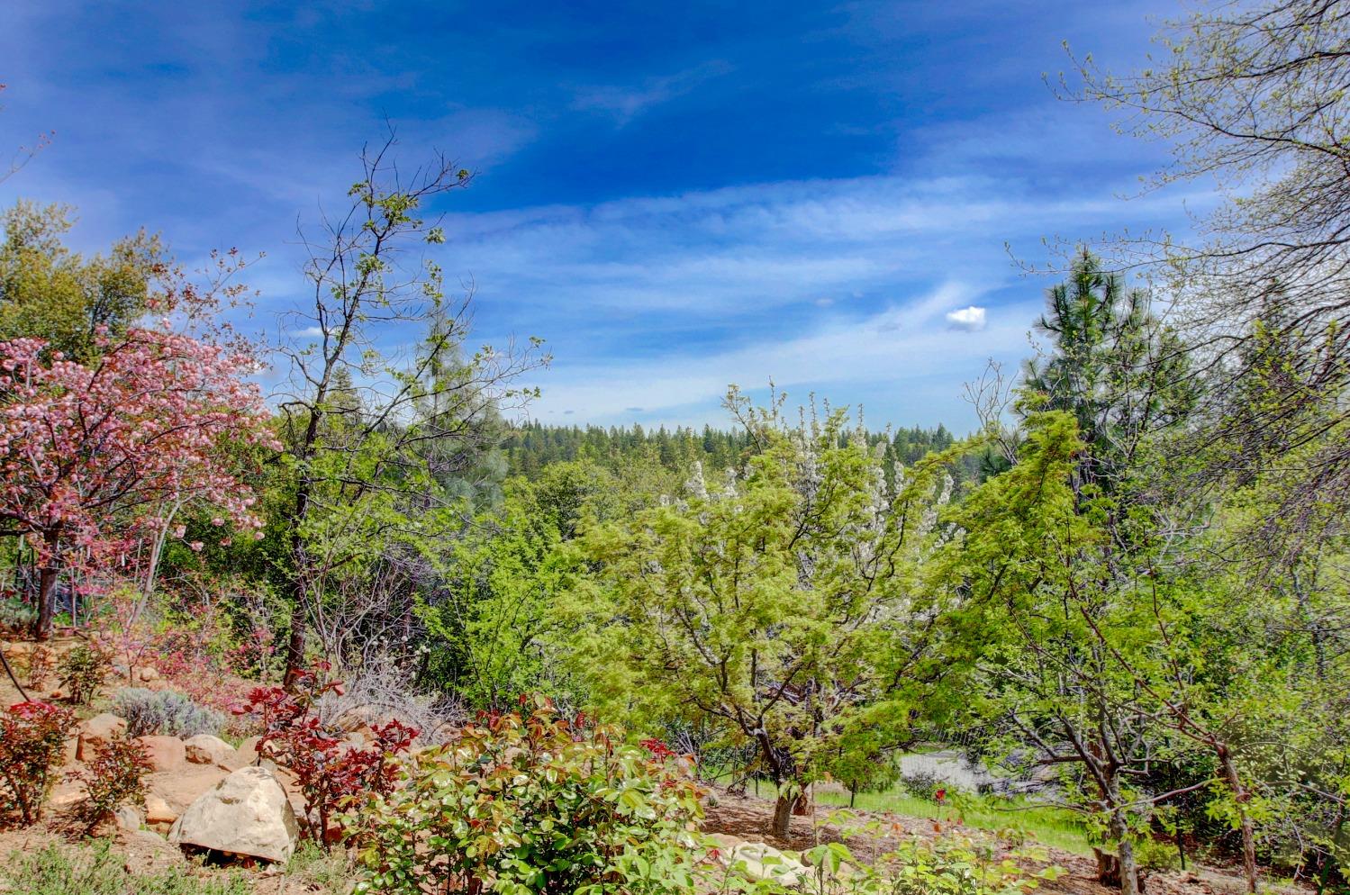 Detail Gallery Image 81 of 98 For 14158 Gochine Dr, Nevada City,  CA 95959 - 3 Beds | 2/1 Baths