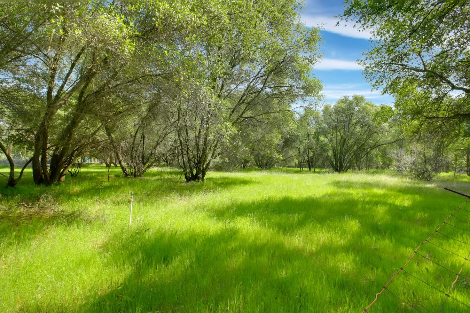 Redhill Road, Browns Valley, California image 8