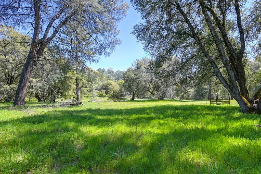 Photo of 3780 Sand Ridge Rd in Placerville, CA