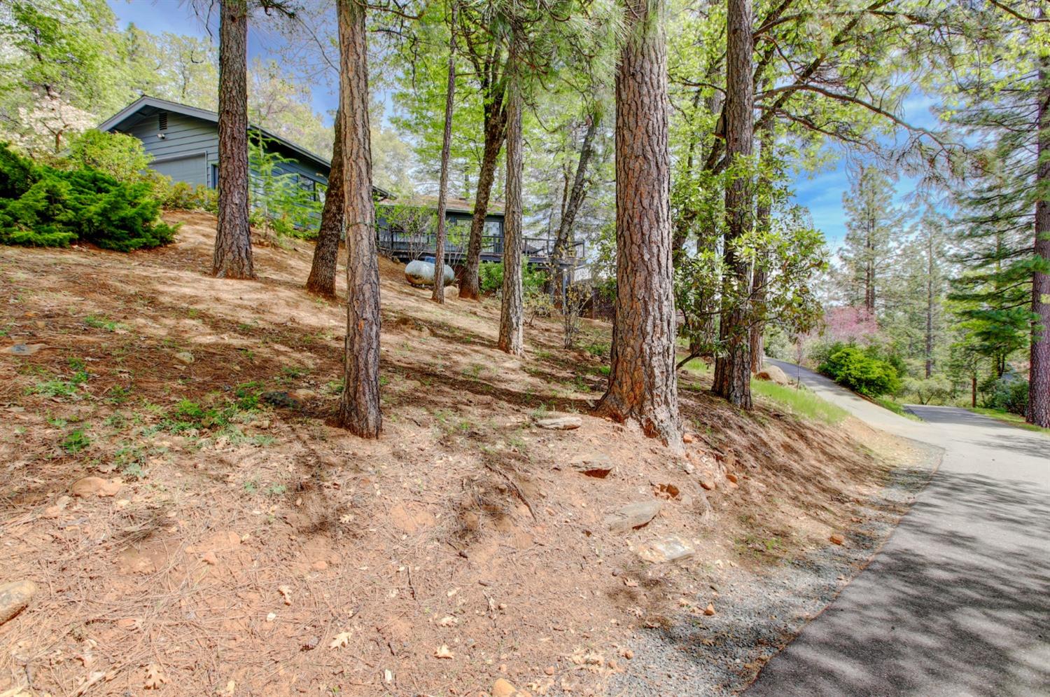 Detail Gallery Image 61 of 98 For 14158 Gochine Dr, Nevada City,  CA 95959 - 3 Beds | 2/1 Baths