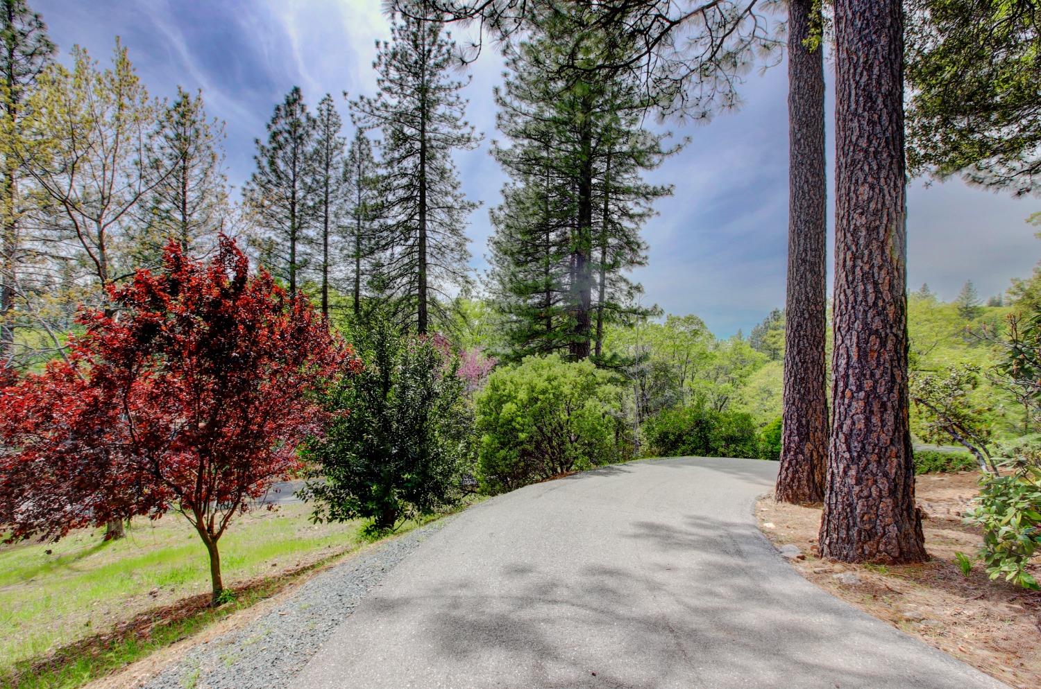 Detail Gallery Image 84 of 98 For 14158 Gochine Dr, Nevada City,  CA 95959 - 3 Beds | 2/1 Baths