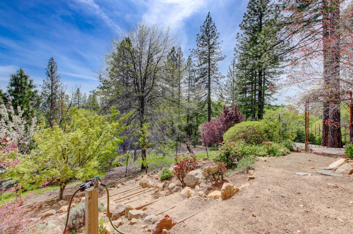 Detail Gallery Image 78 of 98 For 14158 Gochine Dr, Nevada City,  CA 95959 - 3 Beds | 2/1 Baths
