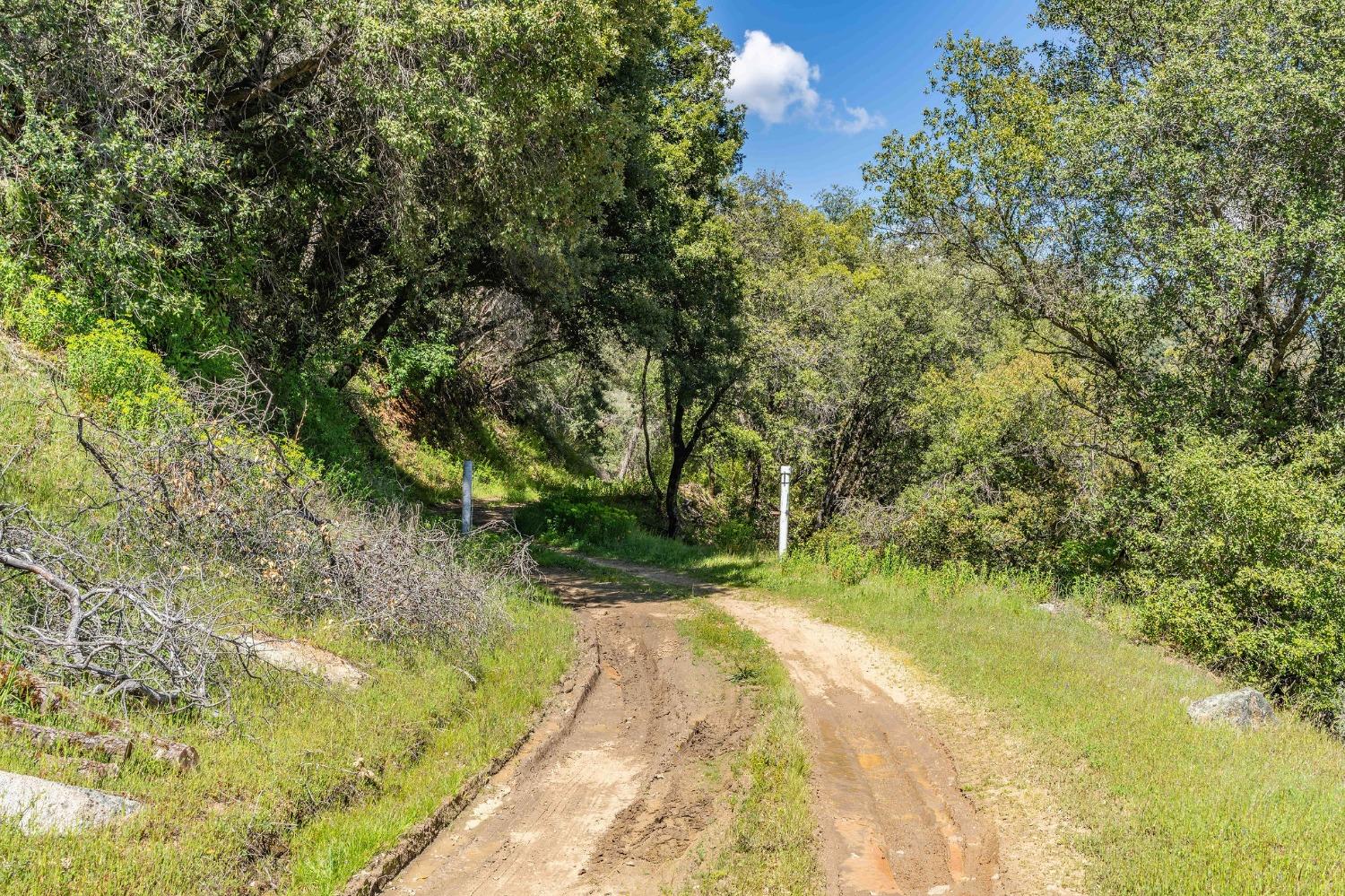 Detail Gallery Image 9 of 13 For 0 12.55 Acres on Red Corral Rd Rd, Pioneer,  CA 95666 - – Beds | – Baths