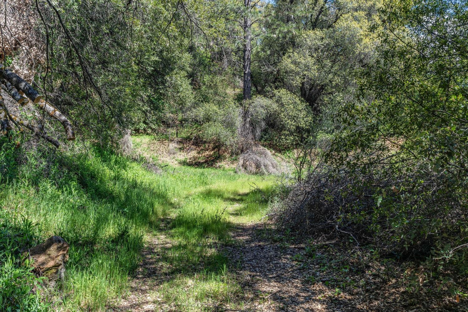 Detail Gallery Image 7 of 13 For 0 12.55 Acres on Red Corral Rd Rd, Pioneer,  CA 95666 - – Beds | – Baths