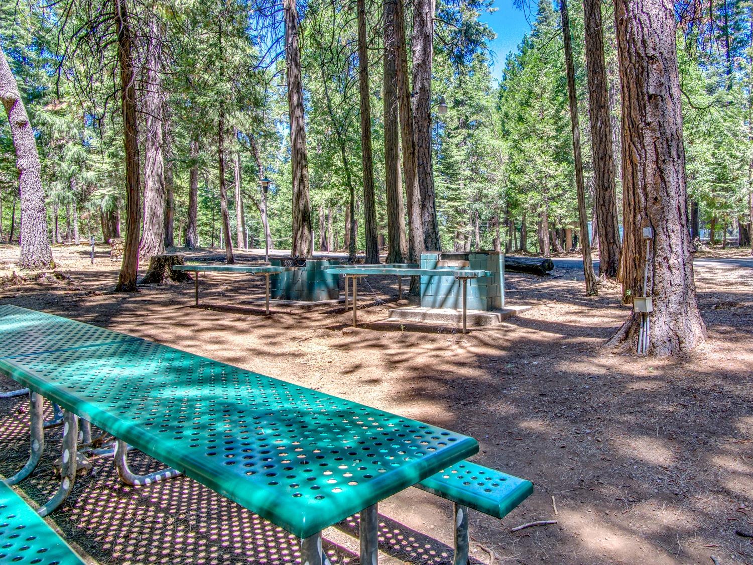 Detail Gallery Image 49 of 58 For 3928 Opal Trl, Pollock Pines,  CA 95726 - 3 Beds | 2 Baths