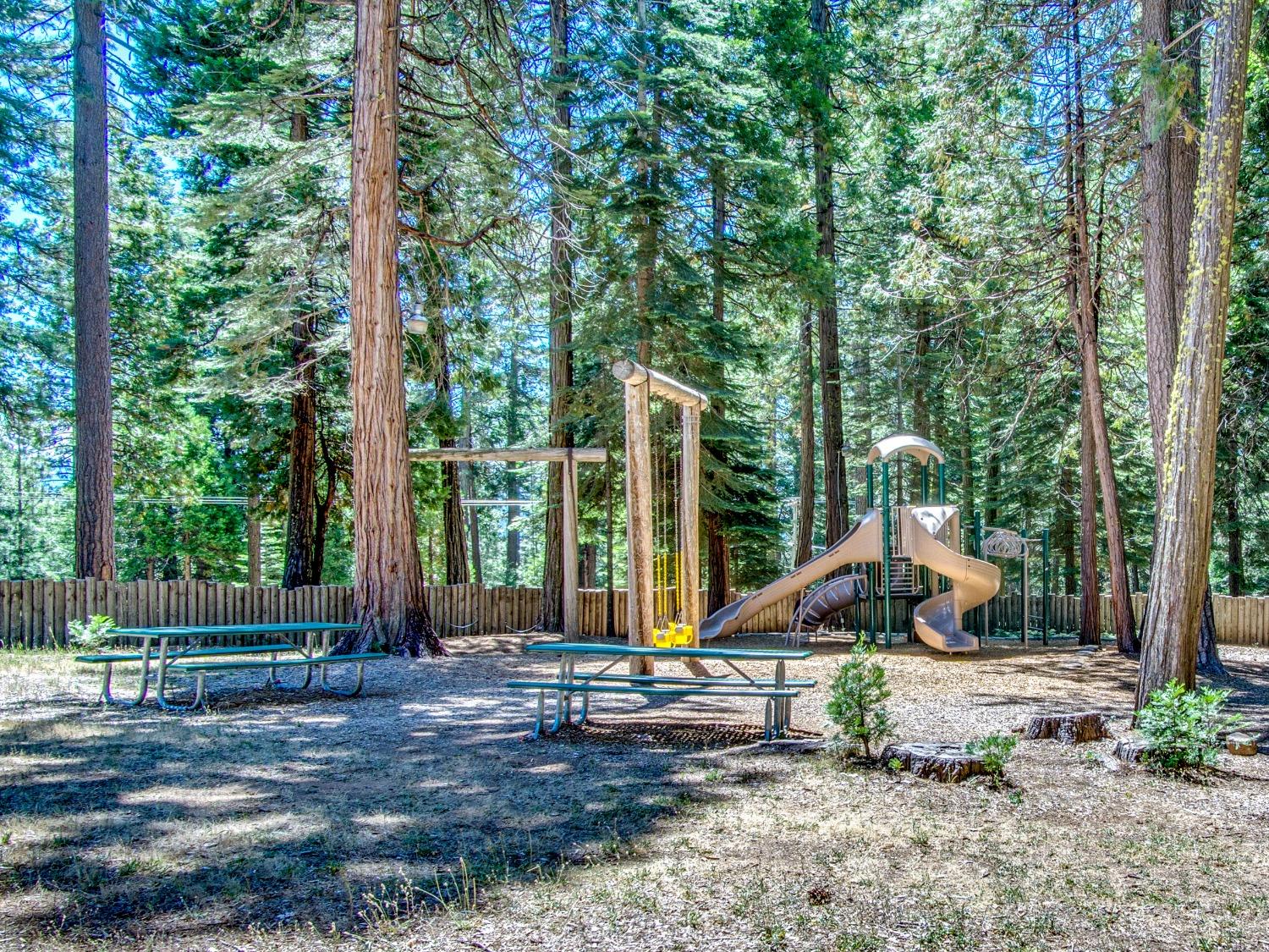 Detail Gallery Image 54 of 58 For 3928 Opal Trl, Pollock Pines,  CA 95726 - 3 Beds | 2 Baths