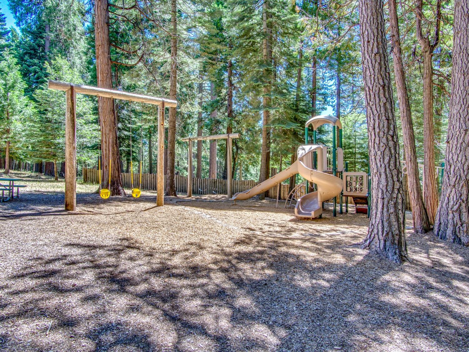 Detail Gallery Image 55 of 58 For 3928 Opal Trl, Pollock Pines,  CA 95726 - 3 Beds | 2 Baths