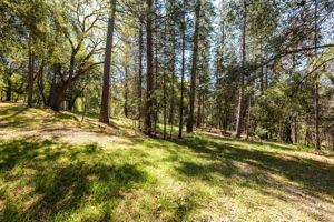 Big Hill Road, Sonora, California image 10