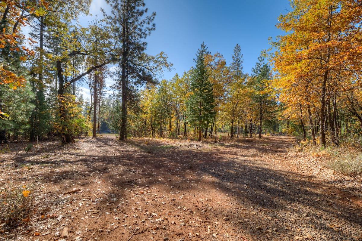 Detail Gallery Image 31 of 32 For 12979 Doe Mill Rd, Forest Ranch,  CA 95942 - 3 Beds | 2 Baths