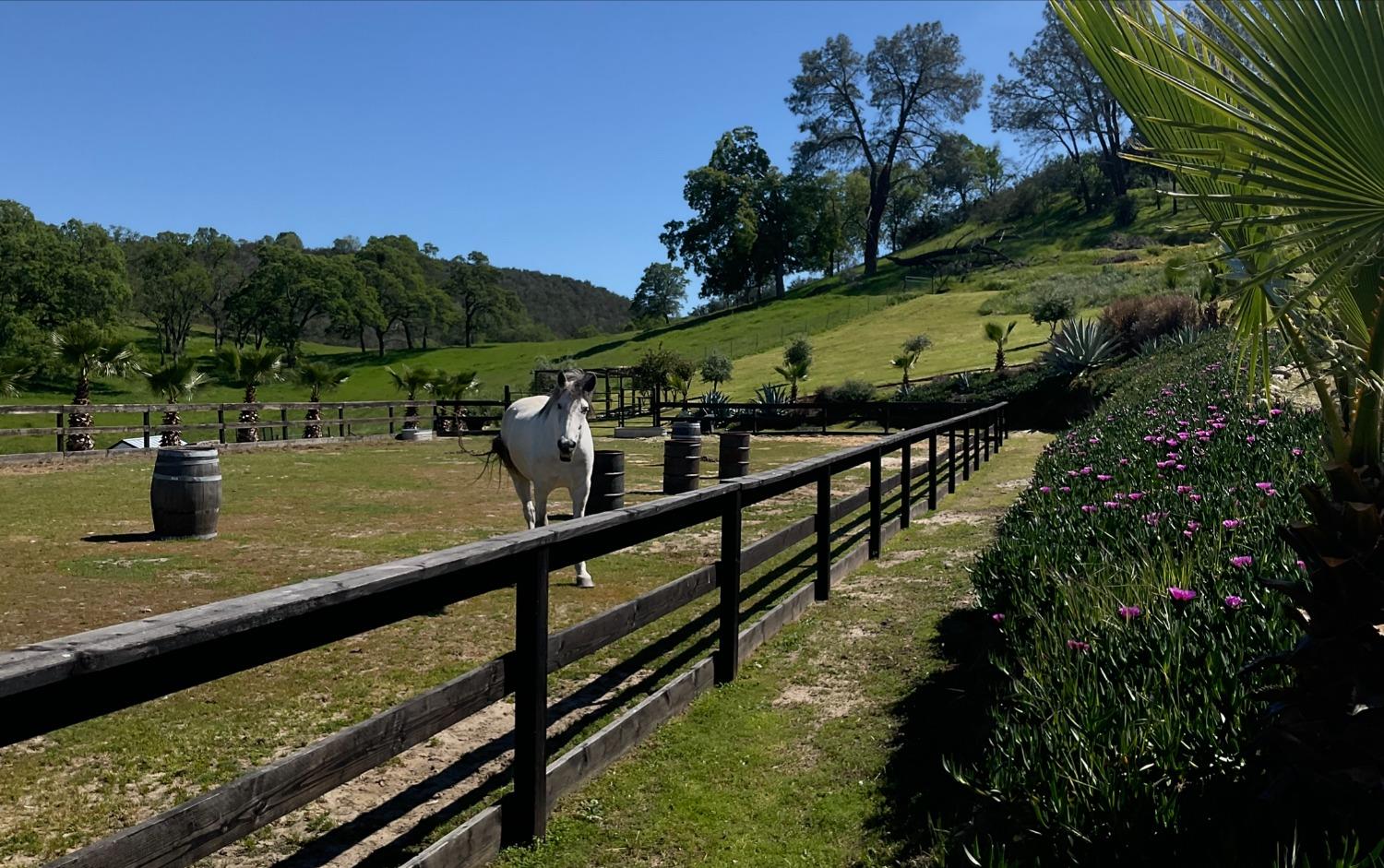 Carmel Road, Burson, California image 4