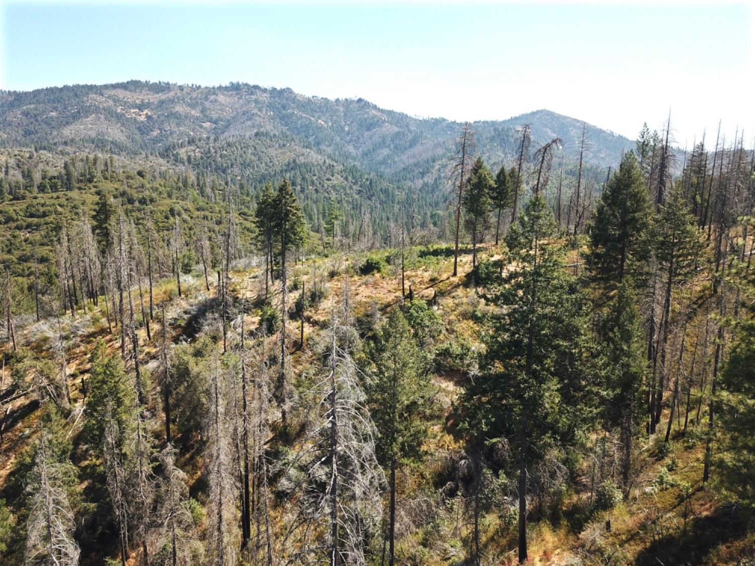 Photo of Old Yosemite Rd in Coulterville, CA