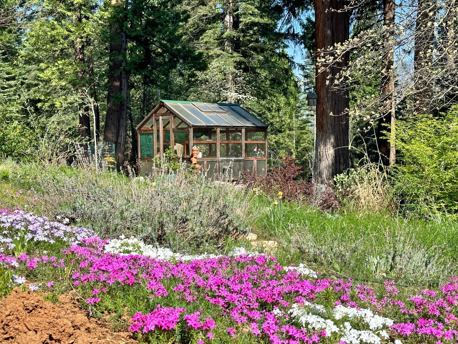 Detail Gallery Image 51 of 58 For 3020 Crystal Summit Rd, Pollock Pines,  CA 95726 - 3 Beds | 2/1 Baths