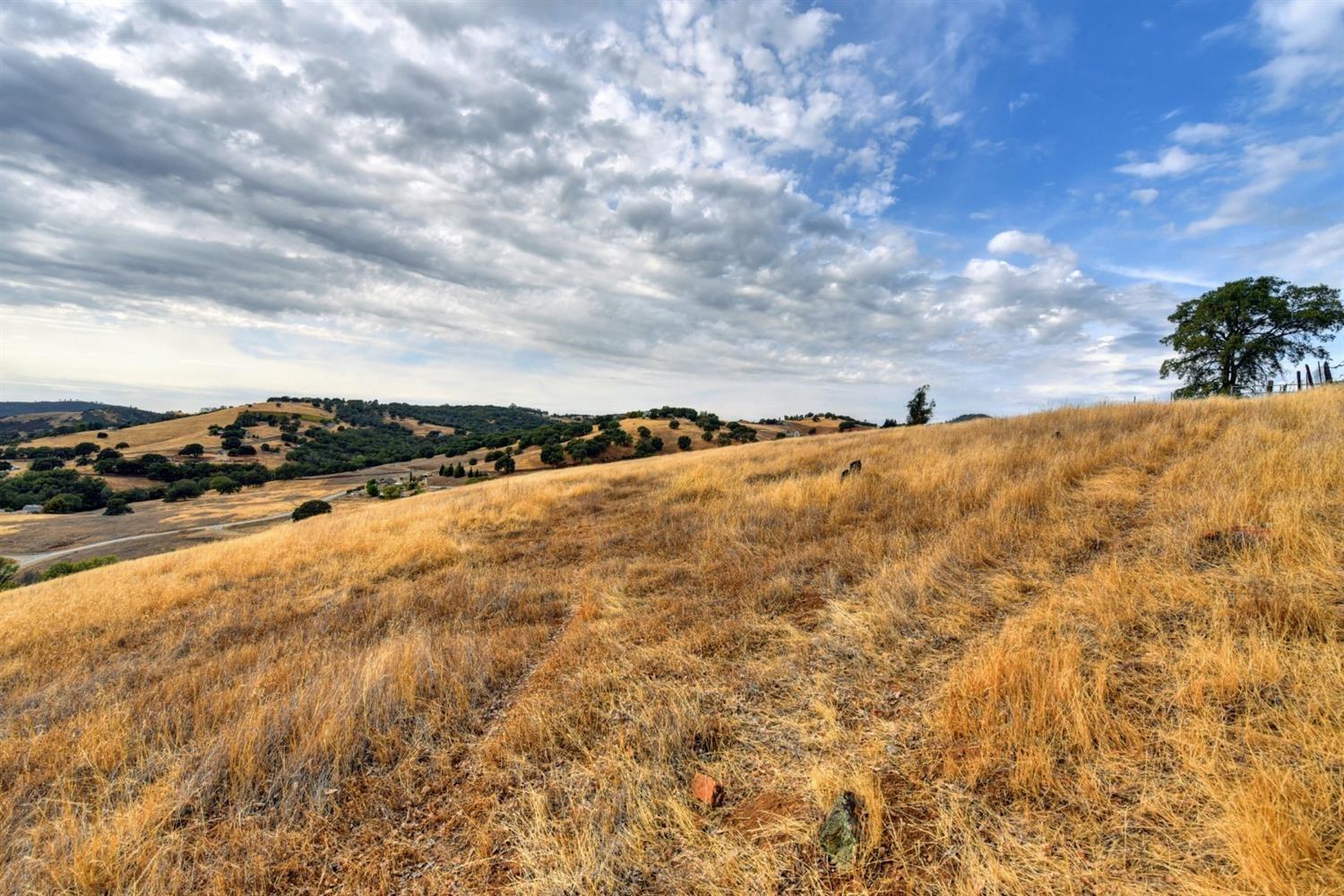 Miners Valley Road, Pilot Hill, California image 3