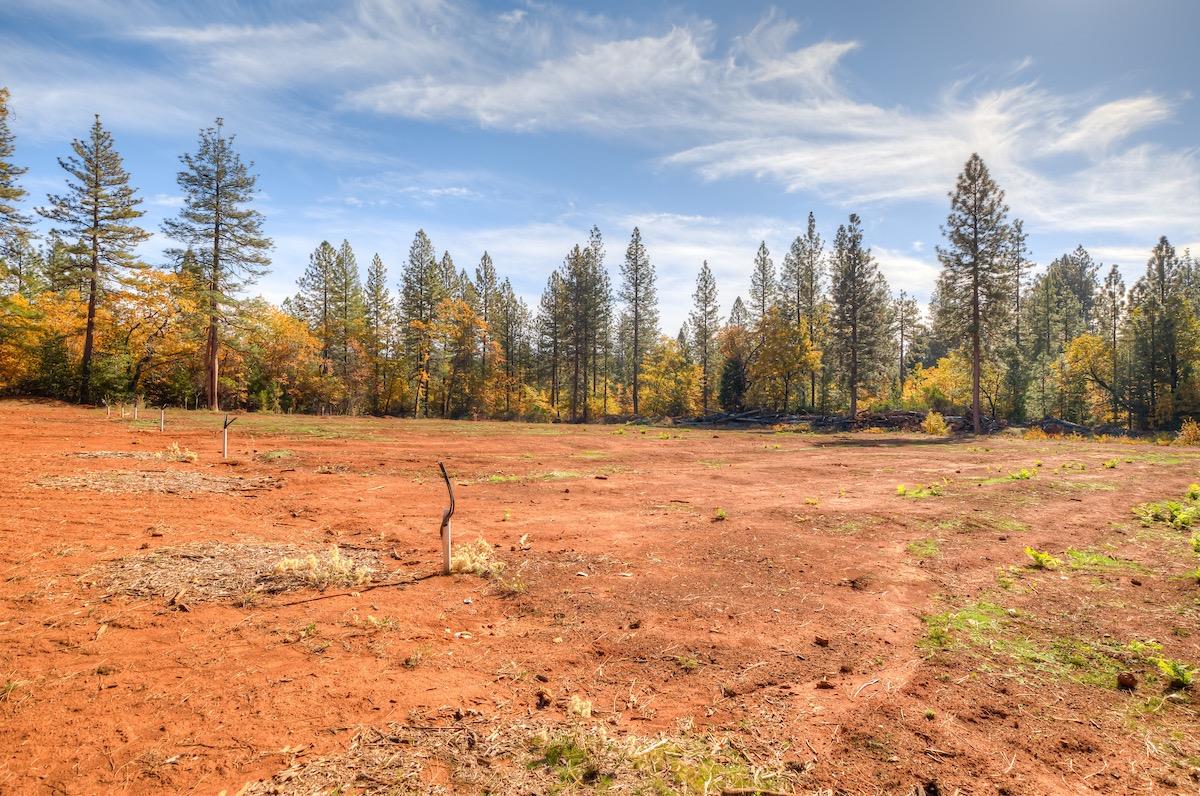 Detail Gallery Image 5 of 32 For 12979 Doe Mill Rd, Forest Ranch,  CA 95942 - 3 Beds | 2 Baths