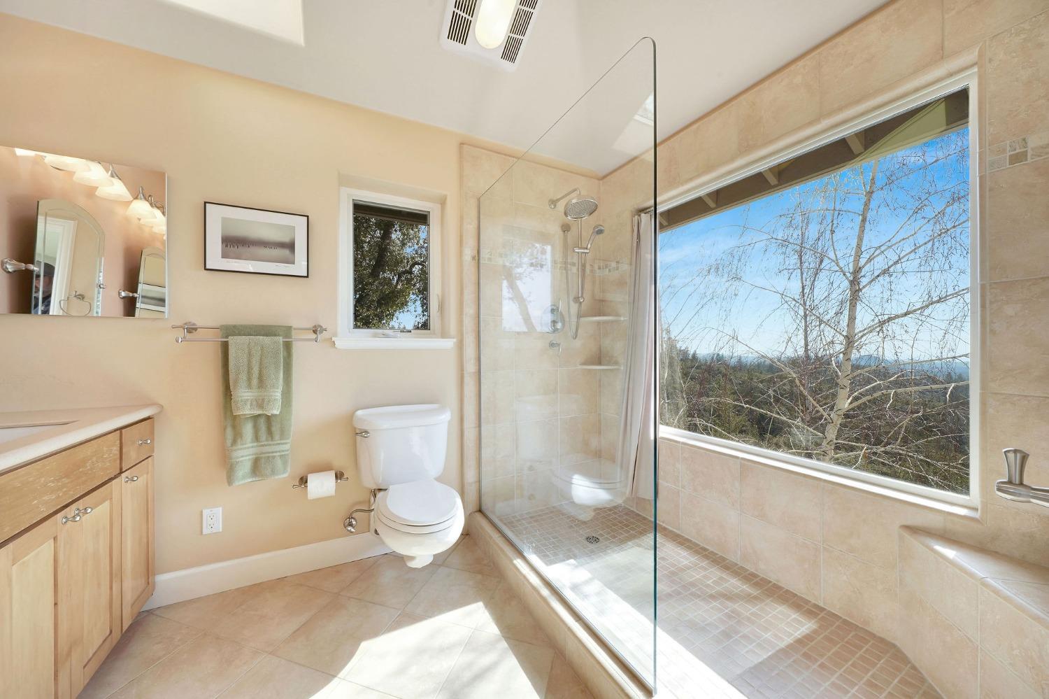 Detail Gallery Image 30 of 83 For 13375 Mount Zion Rd, Pine Grove,  CA 95665 - 5 Beds | 4 Baths