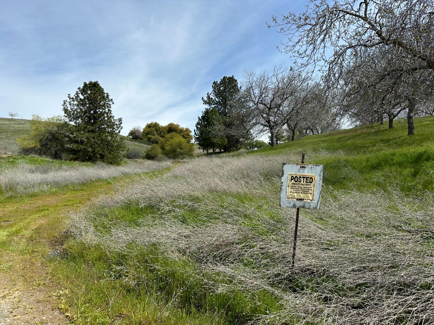 Amazing 3 parcel property, 36.7, 40, and 33.3 acres for a total of 110 acres. Adjacent to 1,592 acres of BLM land. Killer 360 views at the top of the property. Overlooking vineyards and Perry Creek Winery. 1 seasonal and 1 large year round ponds. Great rock outcroppings. Previously 75 planted acres of Walnut trees. Located in the heart of the Fair Play AVA in El Dorado County. This property is ready for planting and building your winery estate and tasting room. Opportunity awaits.