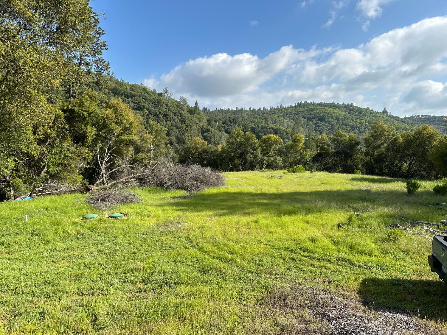 Meadow Lark Lane, Sutter Creek, California image 3