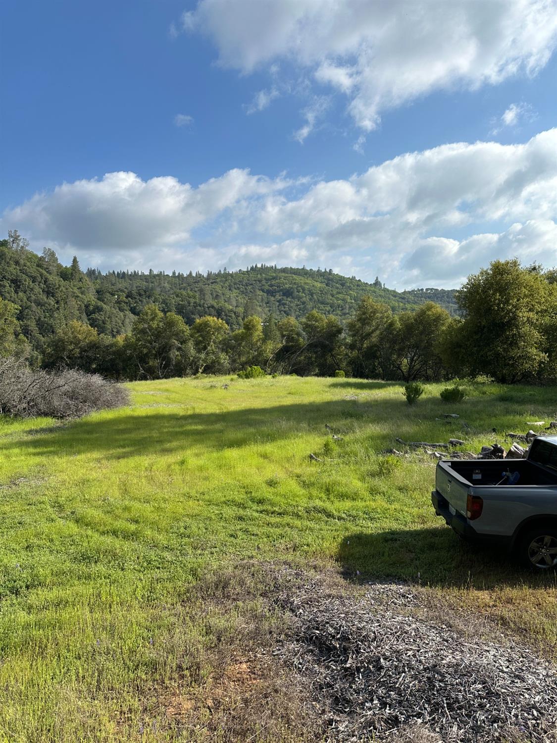 Meadow Lark Lane, Sutter Creek, California image 5