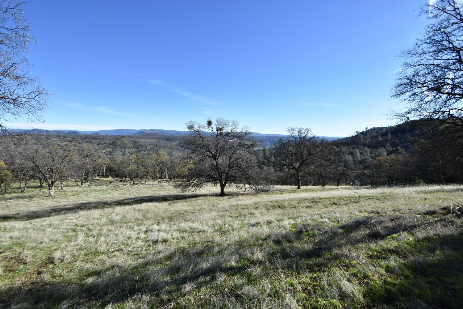 Photo of 1193 Oregon Gulch Rd in Oroville, CA
