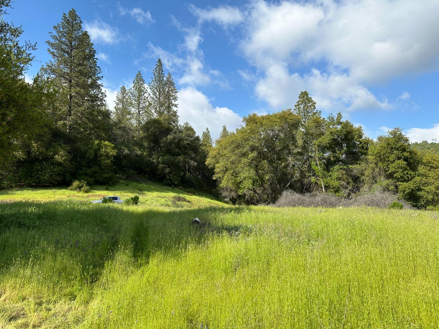 Photo of 16101 Meadow Lark Ln in Sutter Creek, CA