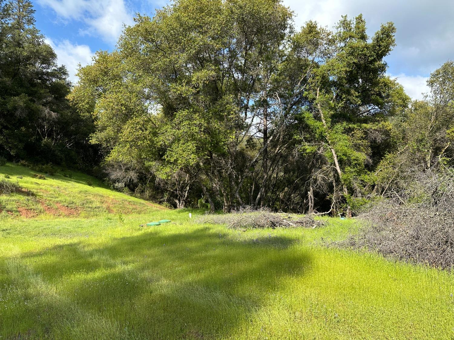 Meadow Lark Lane, Sutter Creek, California image 4