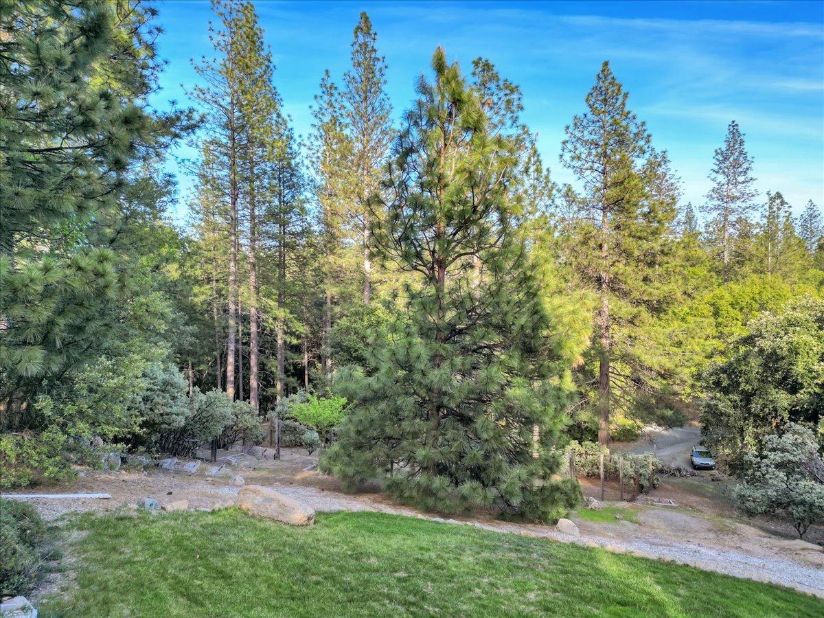 Detail Gallery Image 57 of 60 For 13835 Misty Meadow Ln, Nevada City,  CA 95959 - 3 Beds | 2 Baths