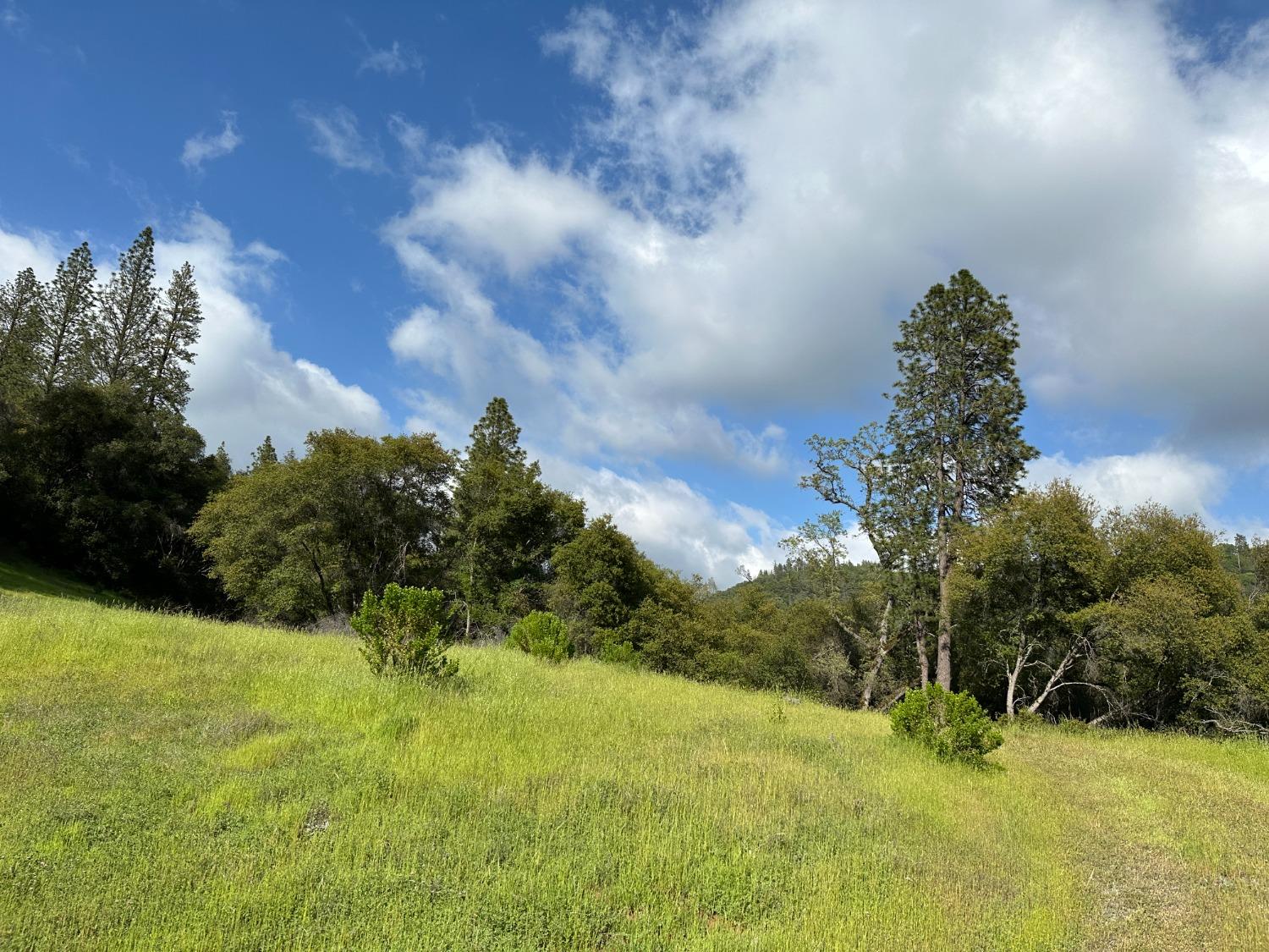 Meadow Lark Lane, Sutter Creek, California image 13