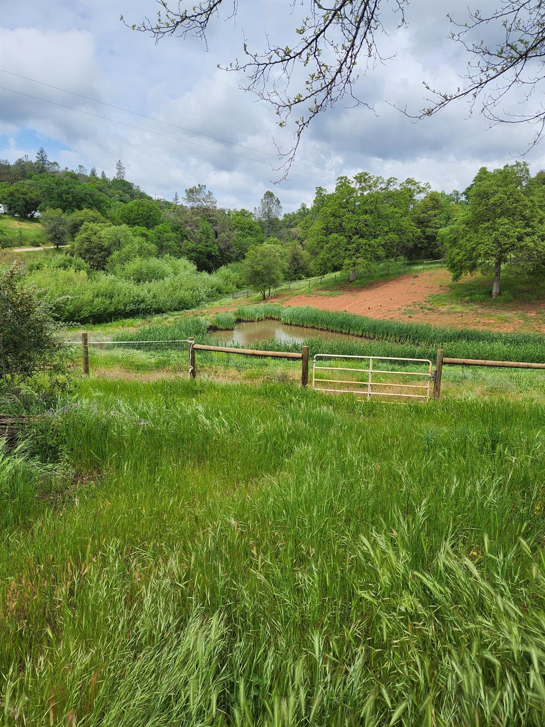 Beaver Creek Road, Cool, California image 11