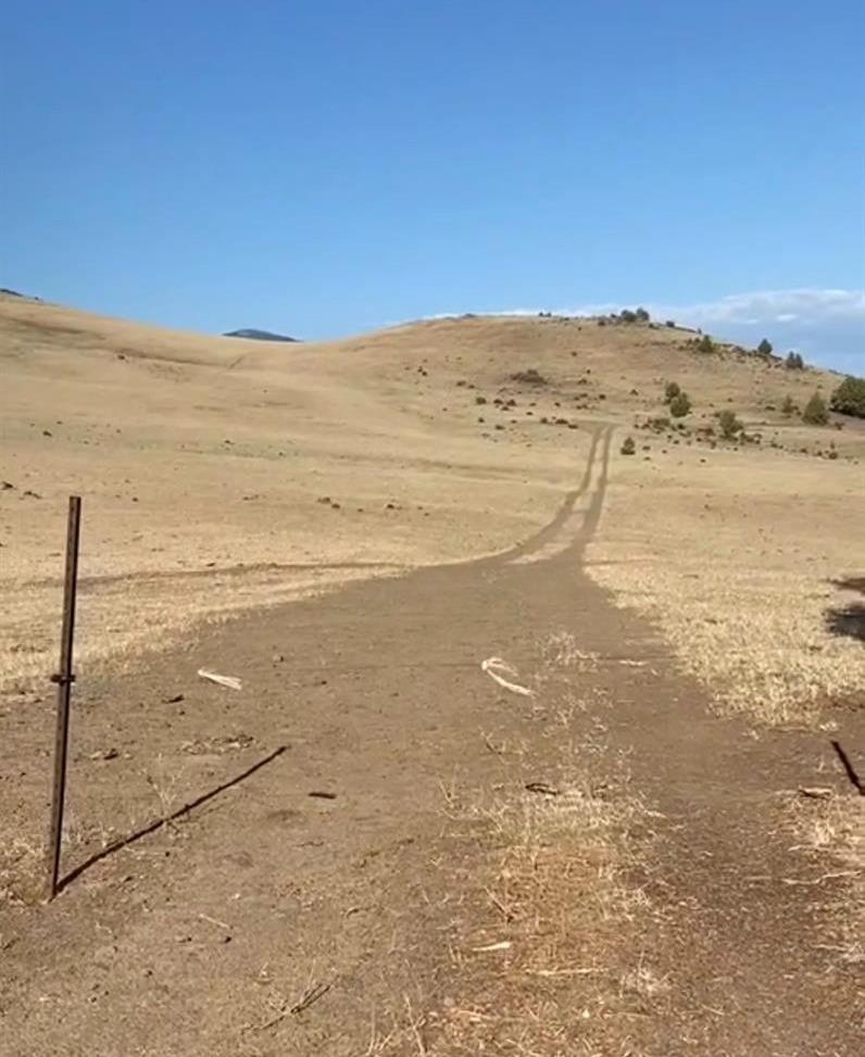 Bluestone Road, Montague, California image 3