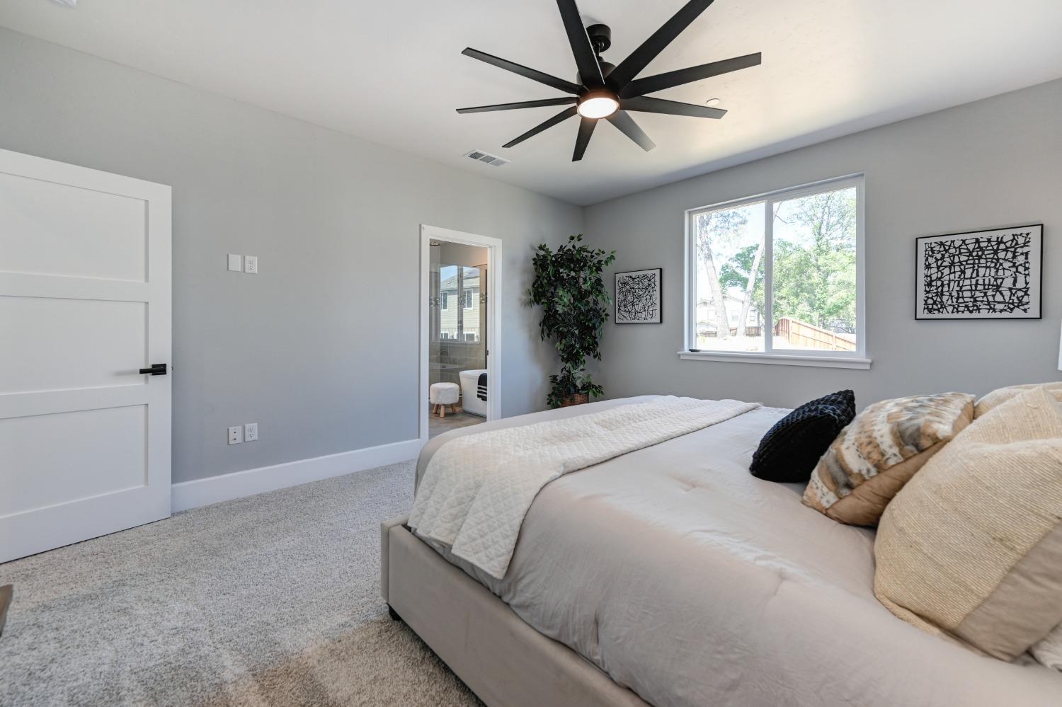 Detail Gallery Image 23 of 45 For 3289 Stone Field Way, Loomis,  CA 95650 - 4 Beds | 3/1 Baths