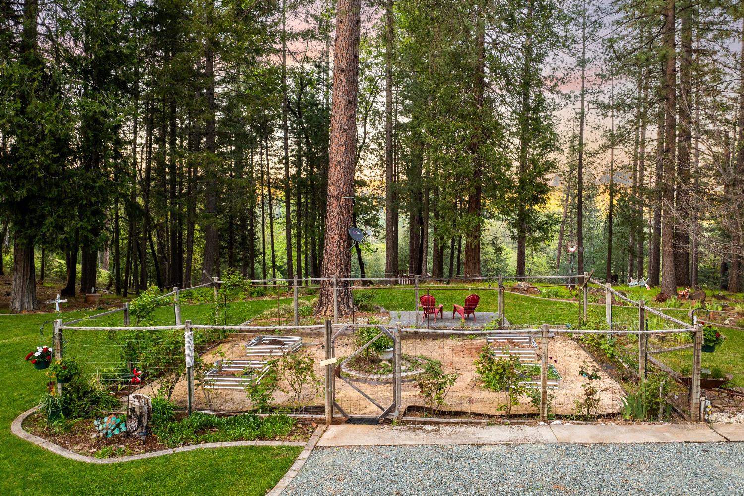 Detail Gallery Image 44 of 51 For 14469 Highland Dr, Grass Valley,  CA 95945 - 4 Beds | 3/1 Baths