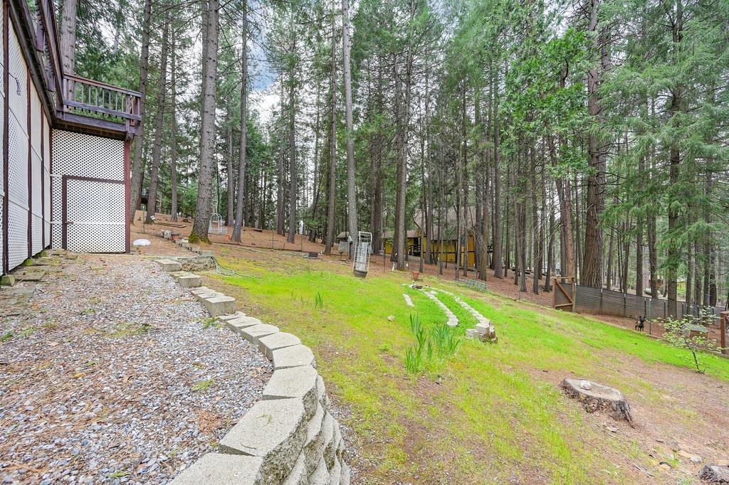 Detail Gallery Image 46 of 51 For 5400 Buttercup Dr, Pollock Pines,  CA 95726 - 3 Beds | 2 Baths
