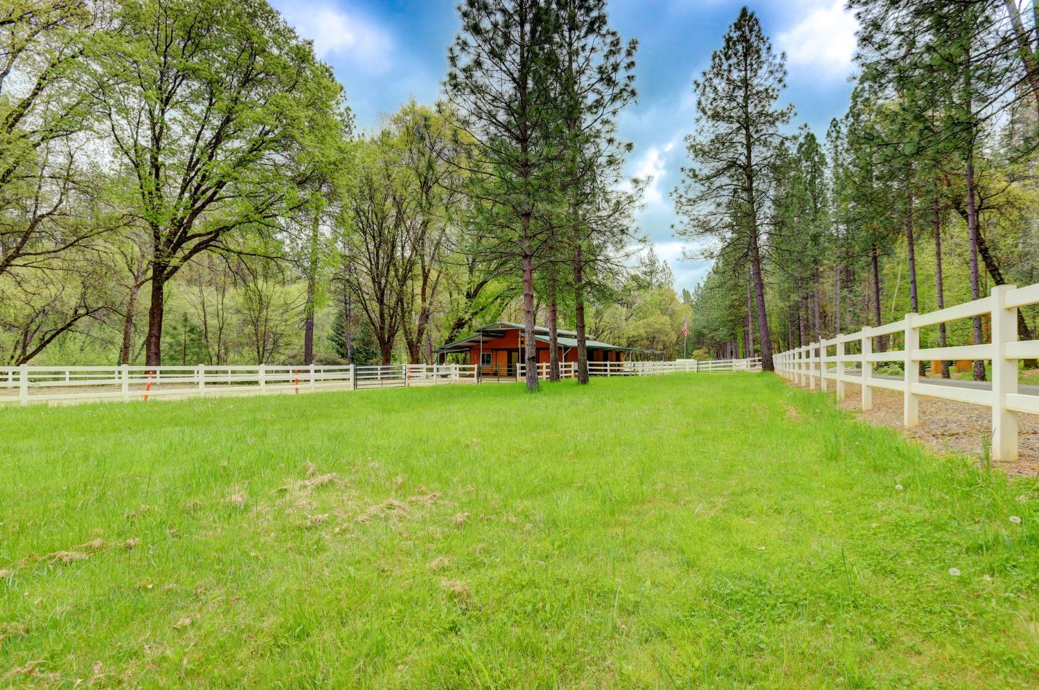 Detail Gallery Image 94 of 99 For 14080 Thoroughbred Loop, Grass Valley,  CA 95949 - 3 Beds | 2/1 Baths