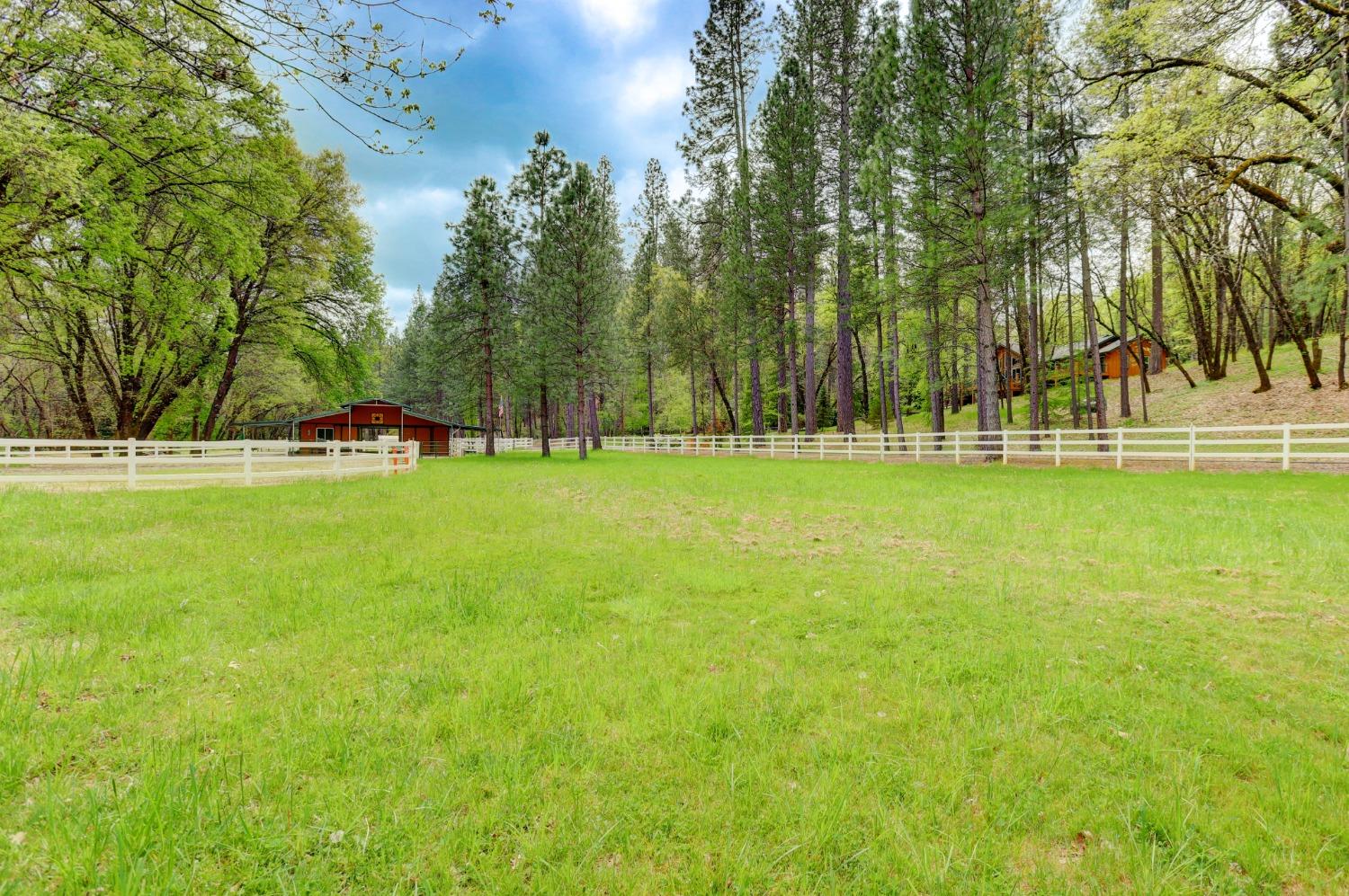 Detail Gallery Image 91 of 99 For 14080 Thoroughbred Loop, Grass Valley,  CA 95949 - 3 Beds | 2/1 Baths
