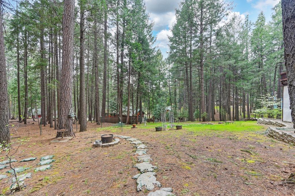 Detail Gallery Image 49 of 51 For 5400 Buttercup Dr, Pollock Pines,  CA 95726 - 3 Beds | 2 Baths