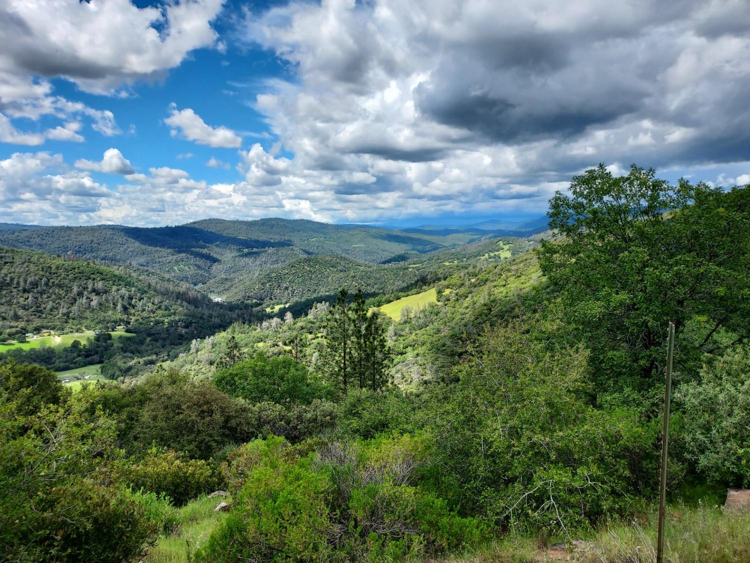 Excelsior Road, Nevada City, California image 9